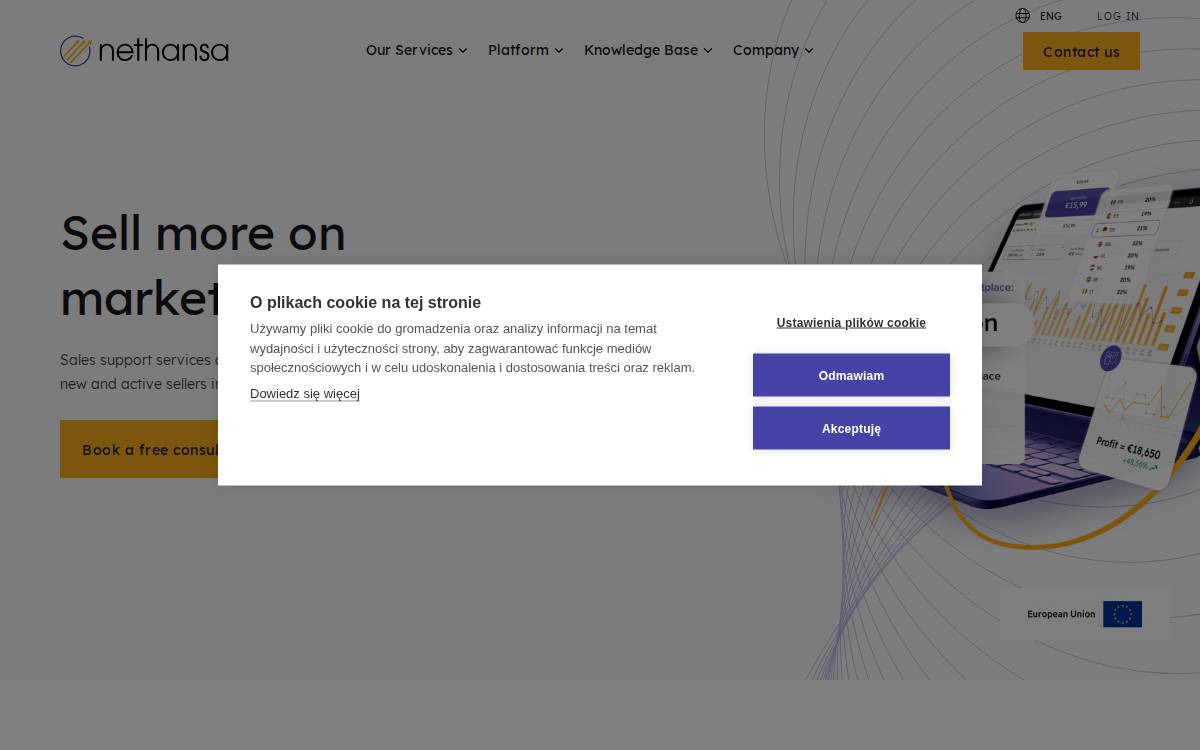 Nethansa website preview