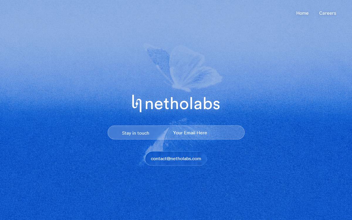 Netholabs website preview