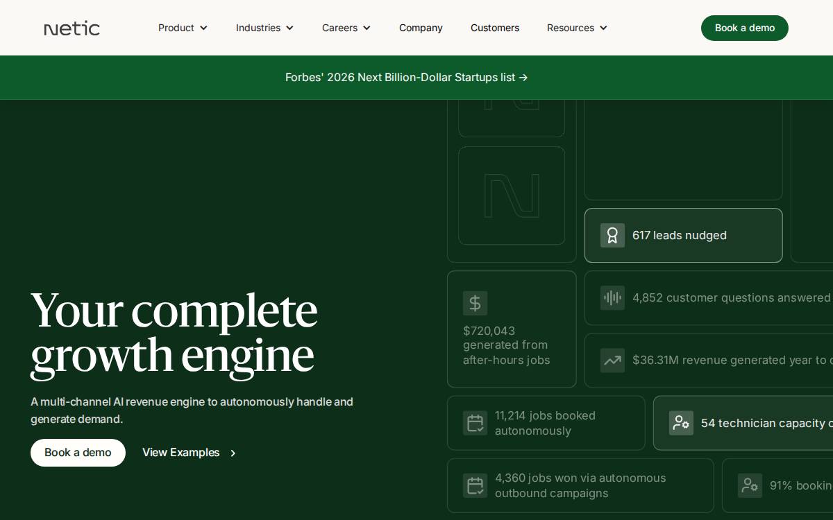 Netic website preview