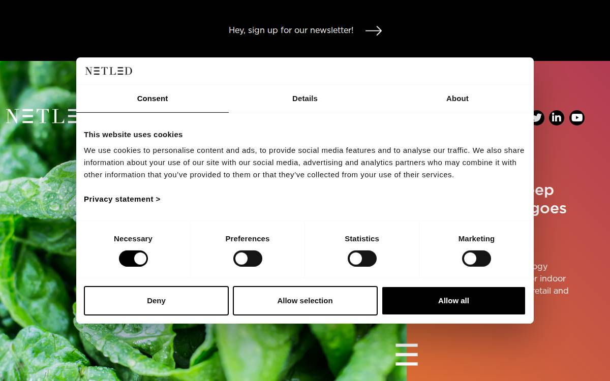 Netled website preview
