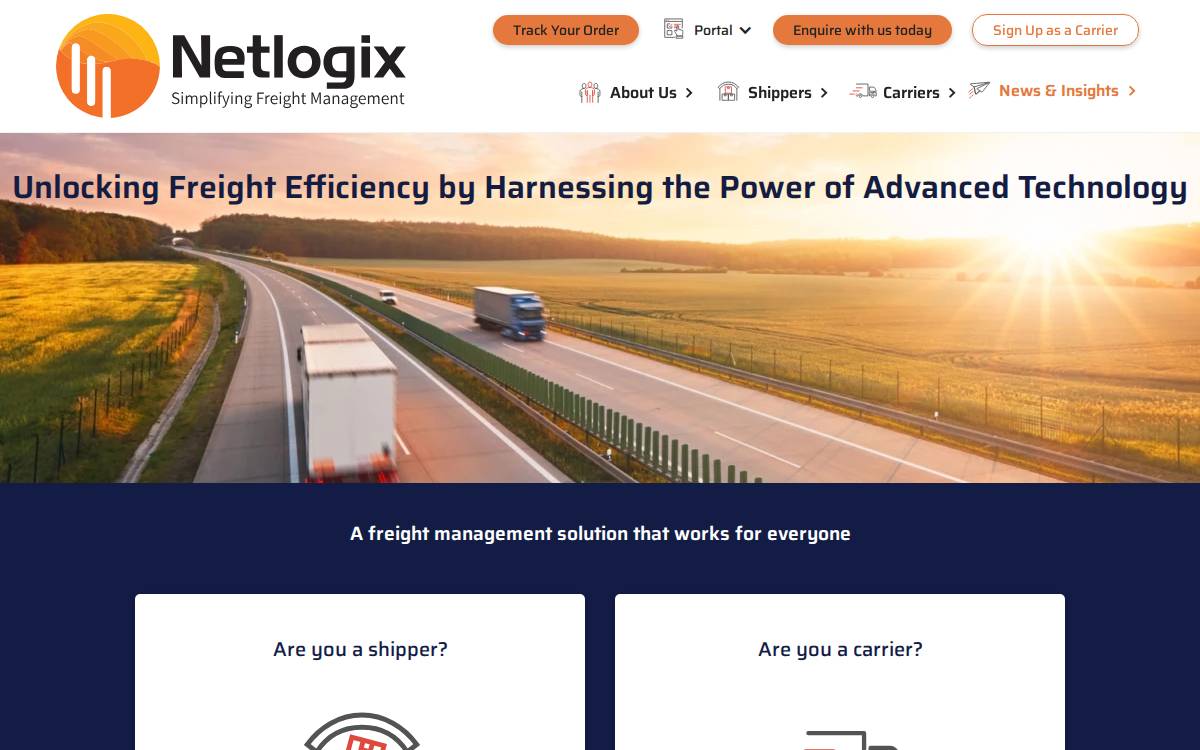 Netlogix website preview