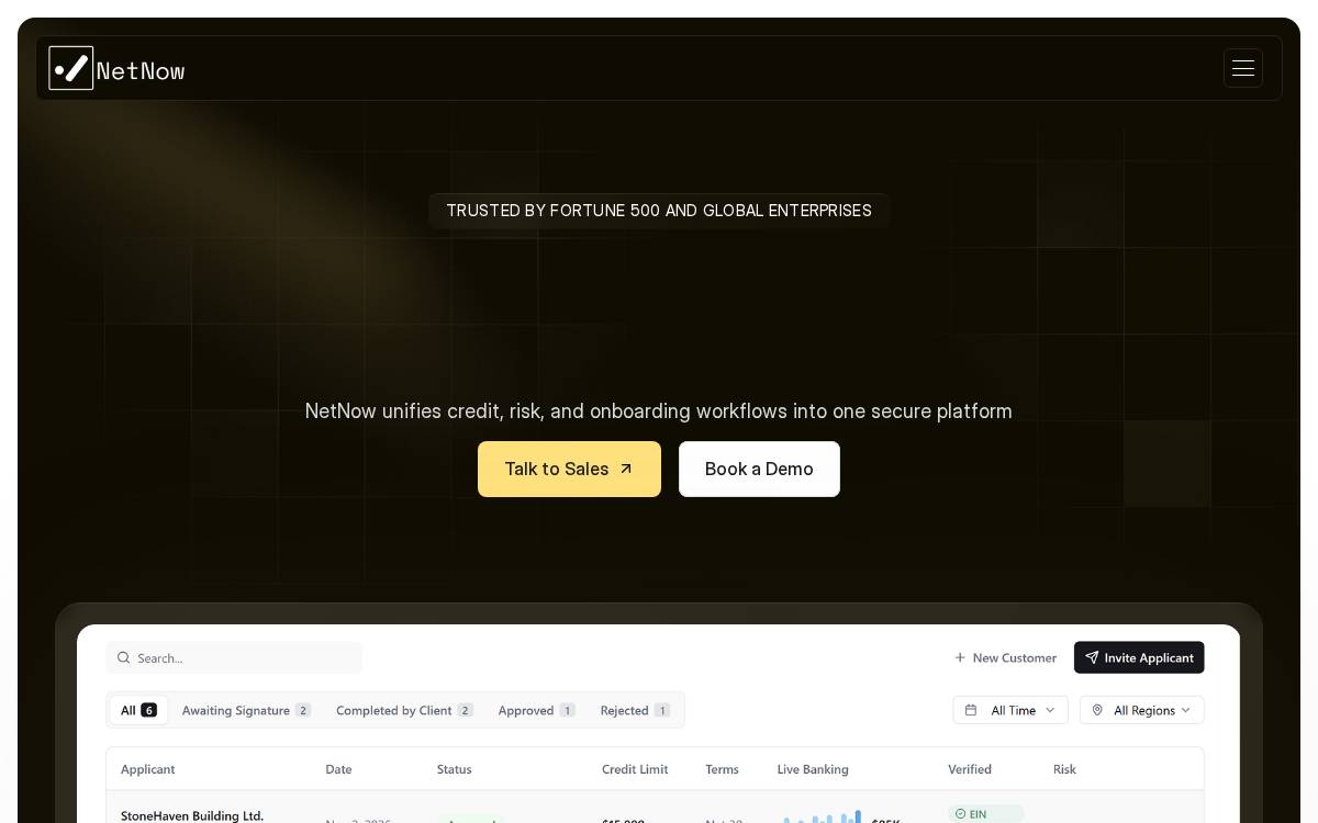 NetNow website preview