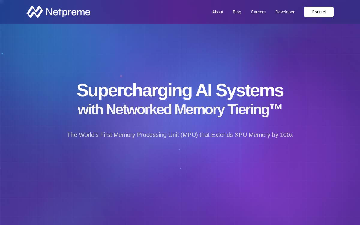 Netpreme website preview