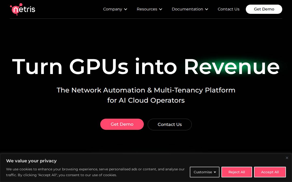 Netris website preview