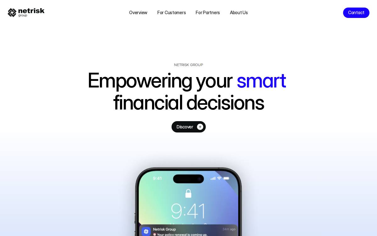 Netrisk Group website preview