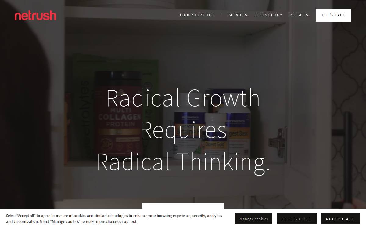 Netrush website preview