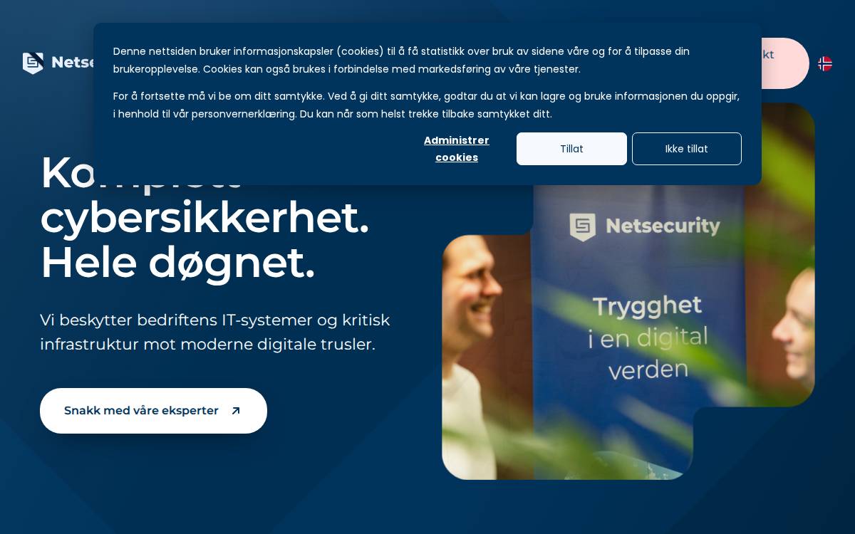 Netsecurity website preview