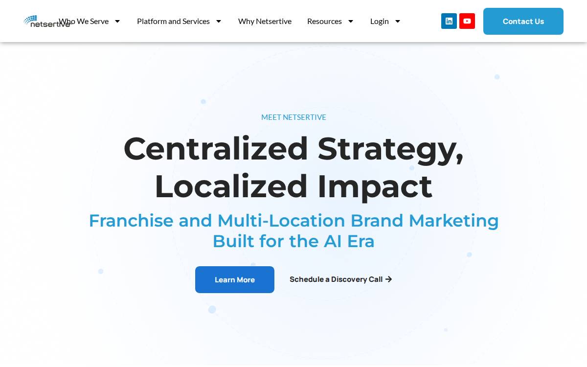 Netsertive website preview