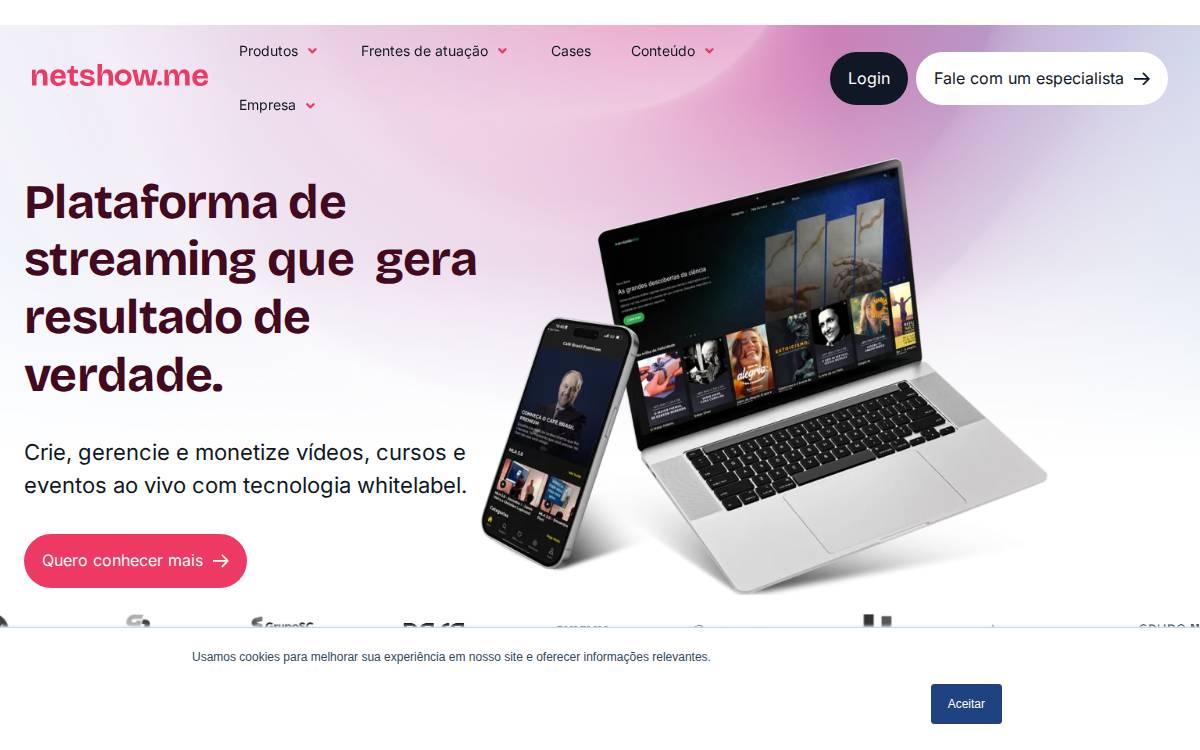 Netshow website preview