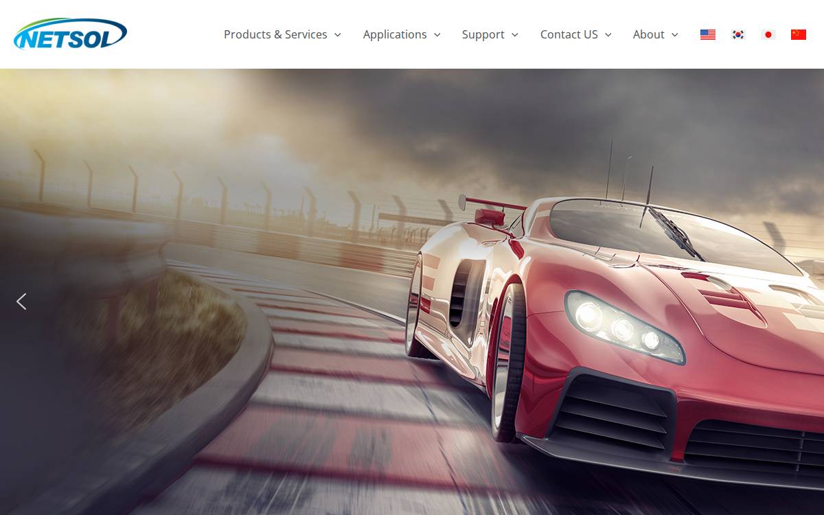 Netsol website preview