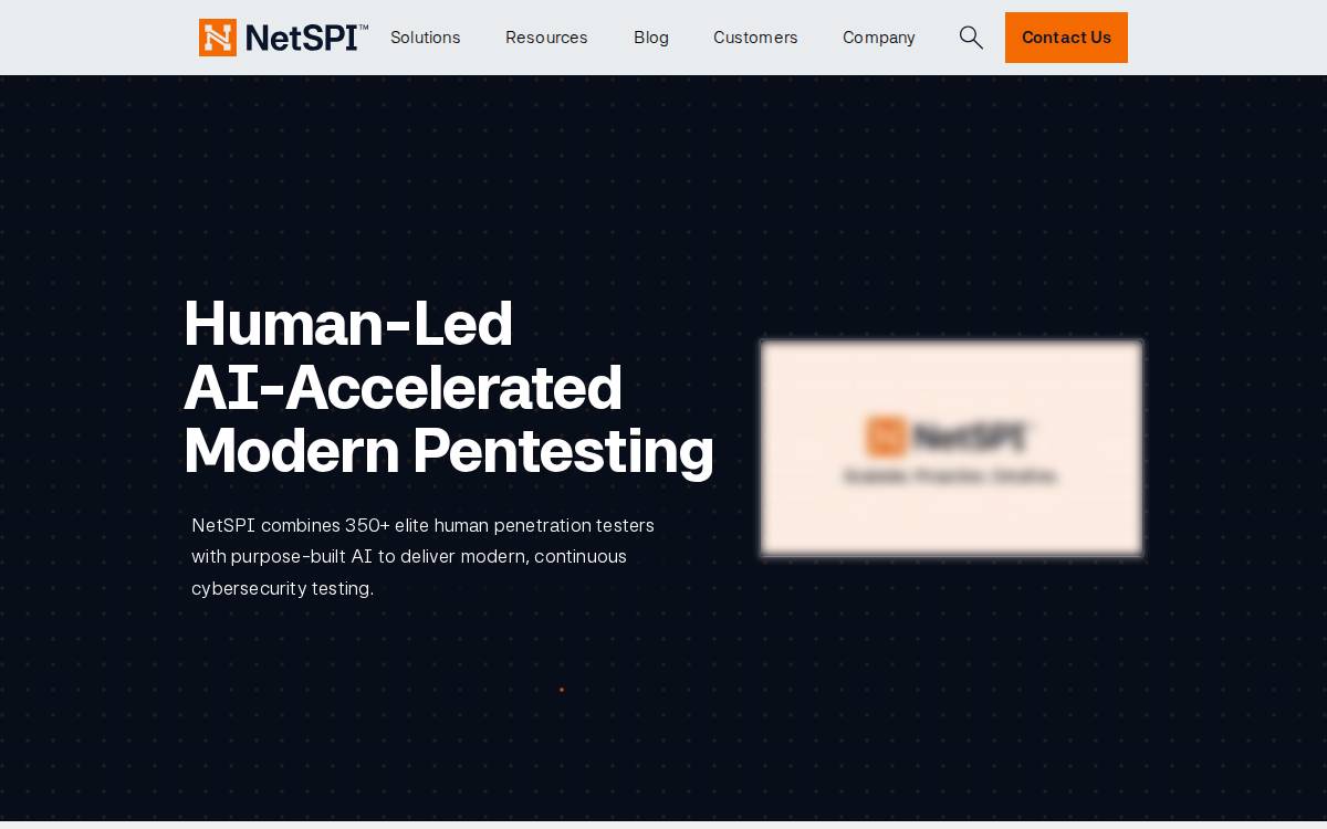 Netspi website preview