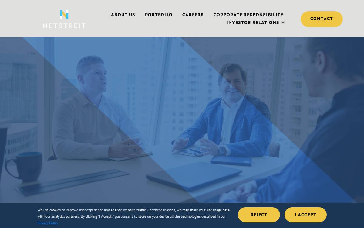 Netstreit website preview