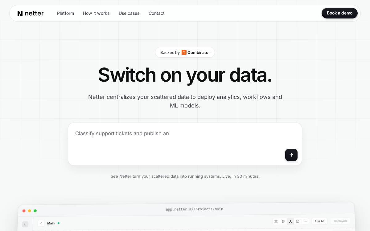 Netter website preview