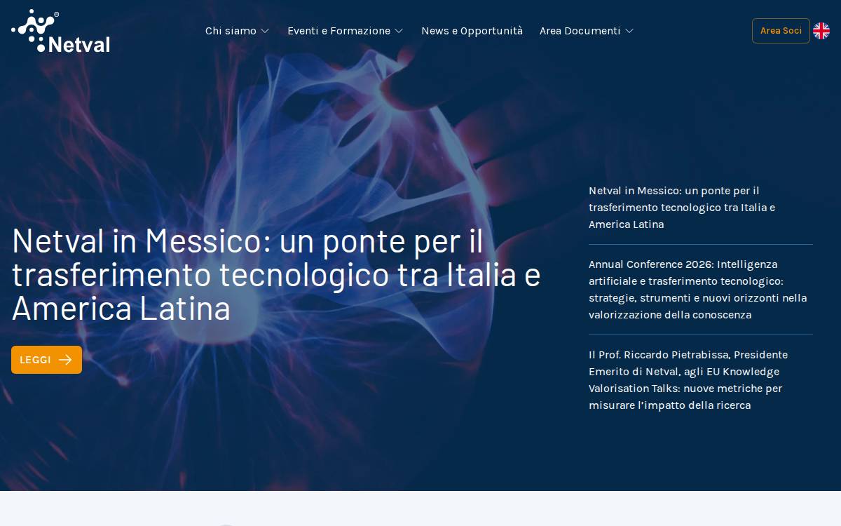 Netval website preview