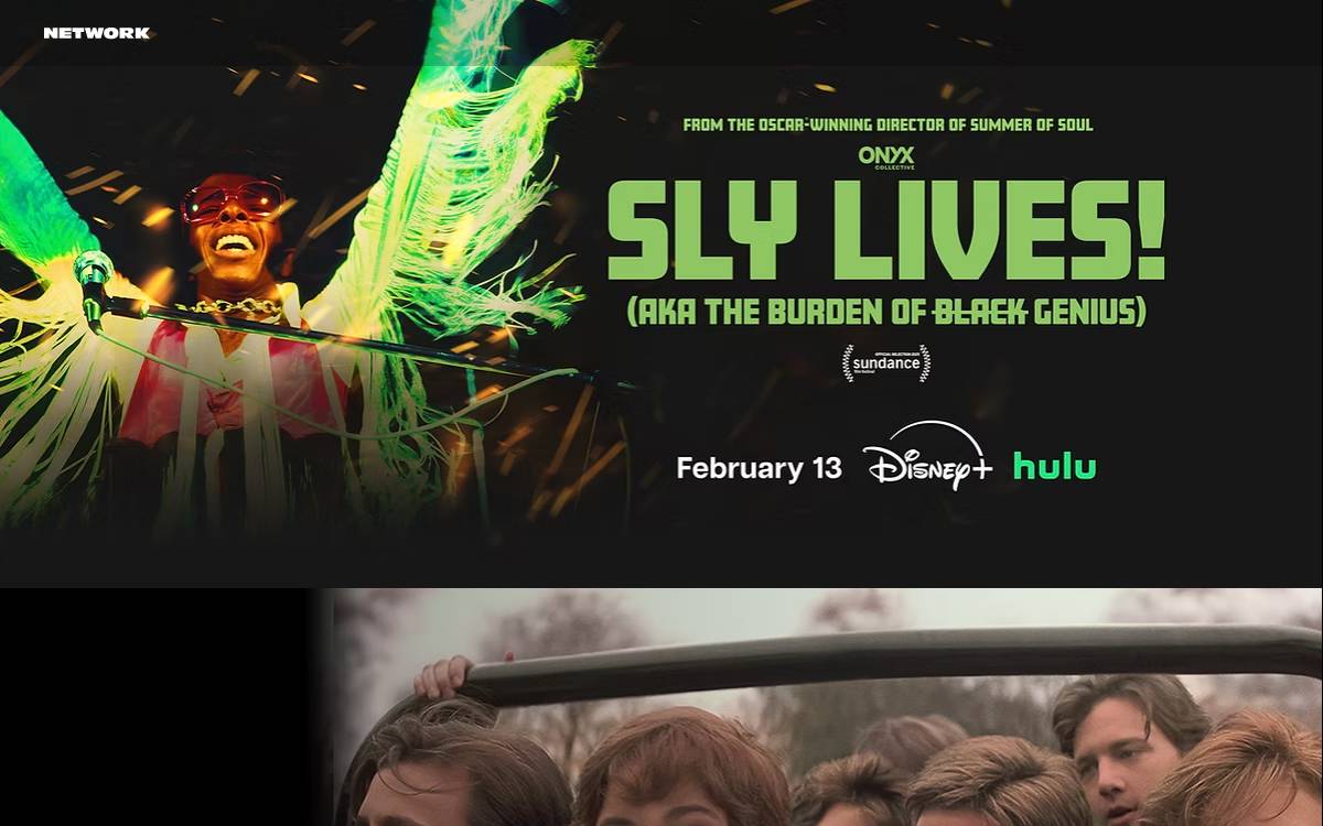 Networkentertainment website preview