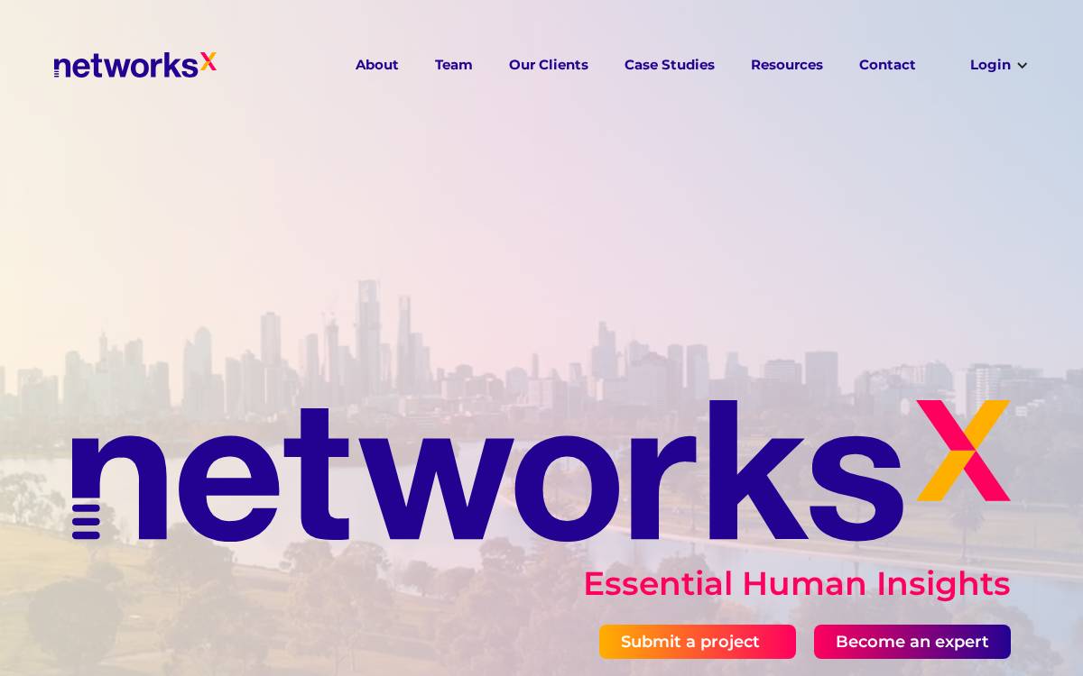 NetworksX website preview