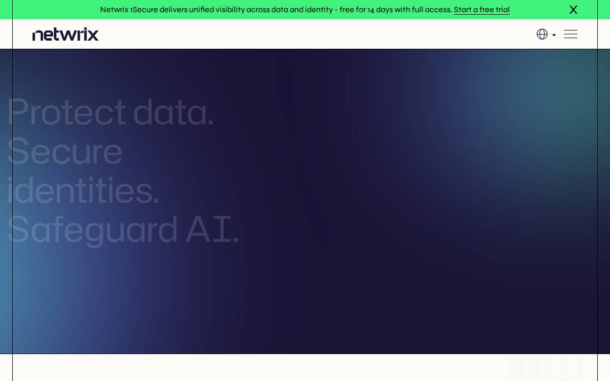 Netwrix website preview