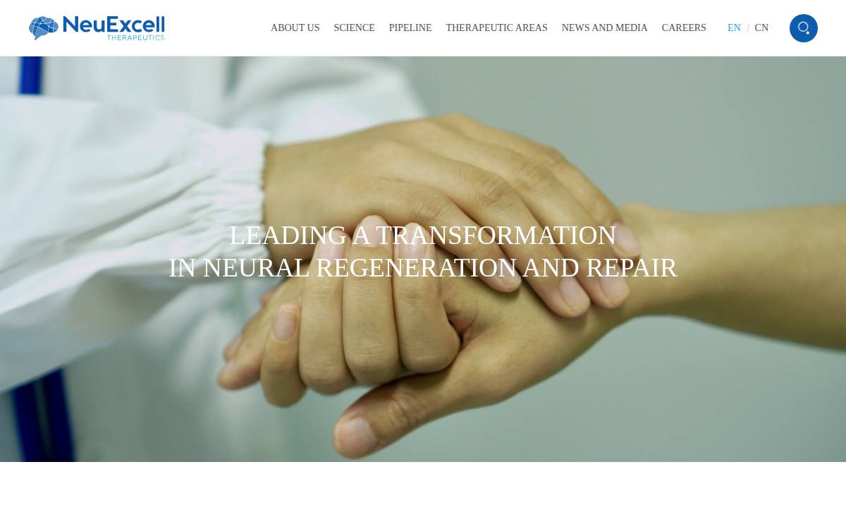 Neuexcell website preview