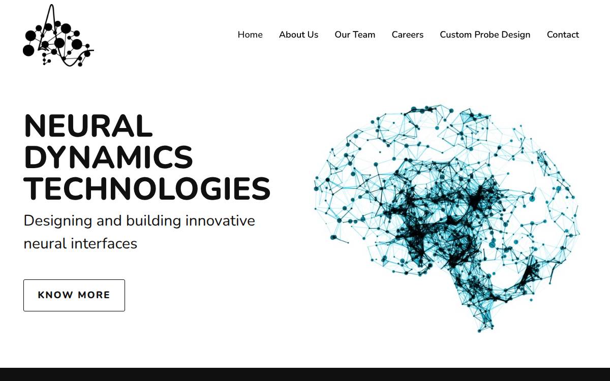 Neural Dynamics Technologies website preview