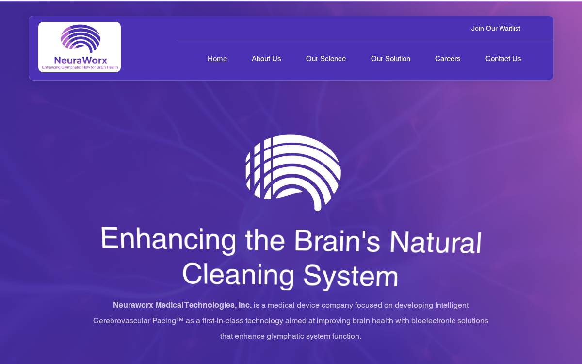 NeuraWorx website preview