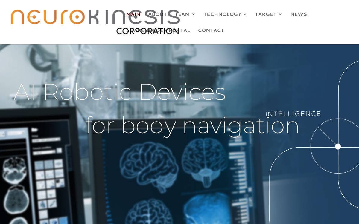 Neuro-Kinesis website preview