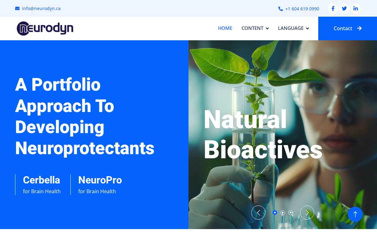 Neurodyn website preview
