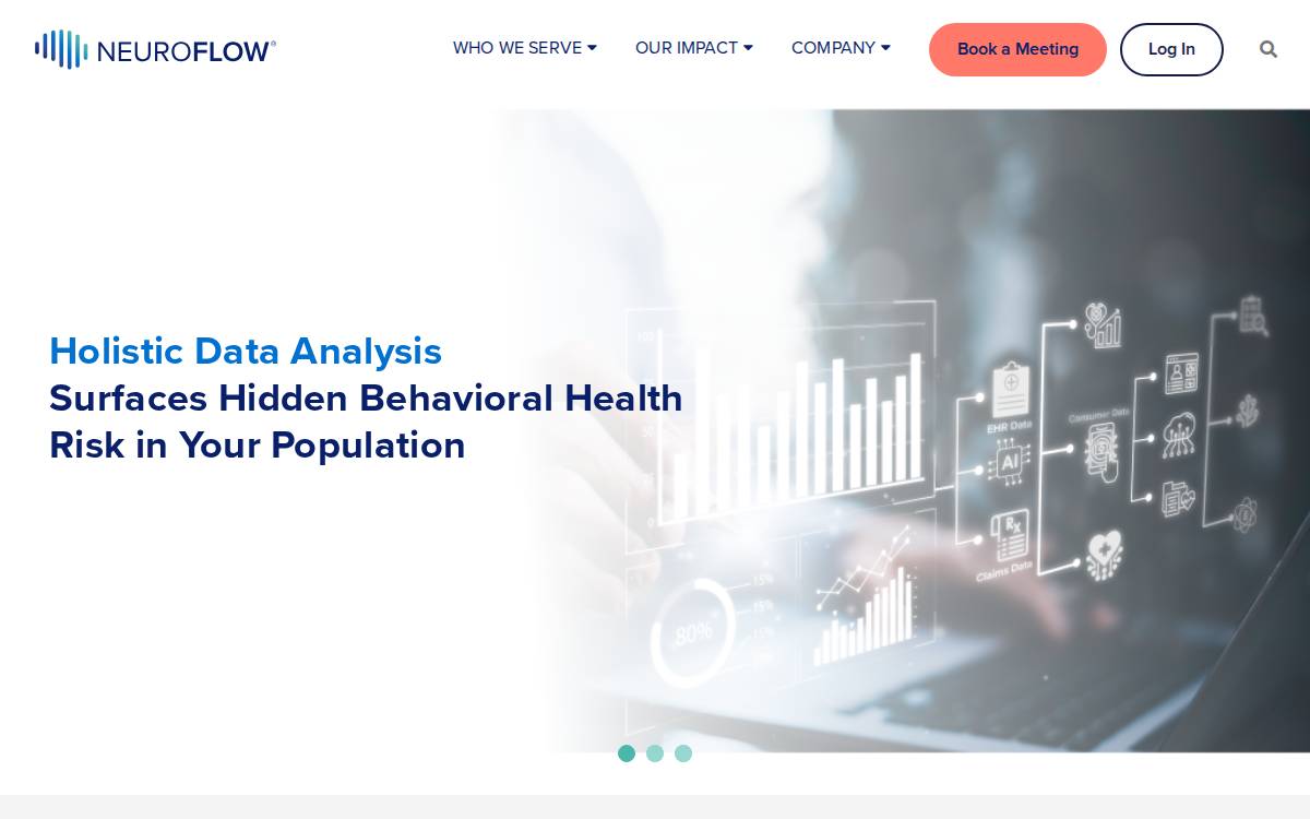 NeuroFlow website preview