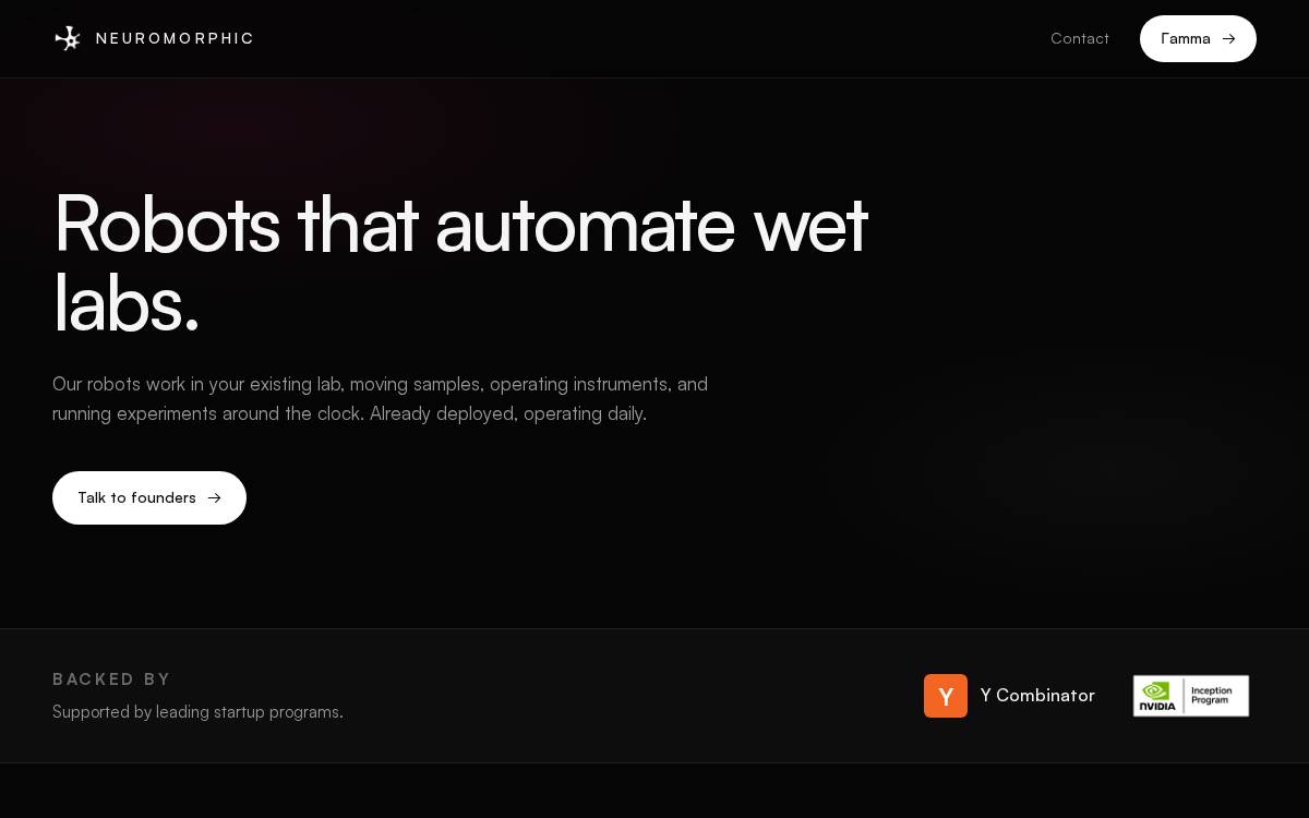 Neuromorphic website preview
