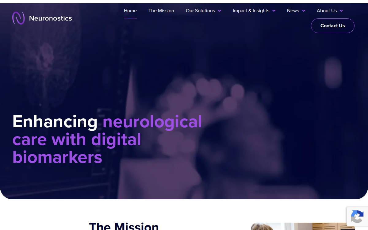 Neuronostics website preview