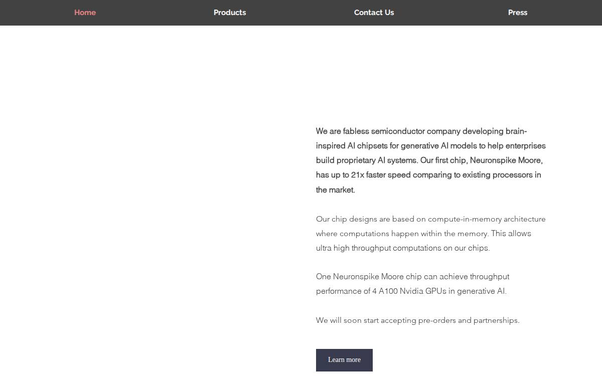 Neuronspike website preview