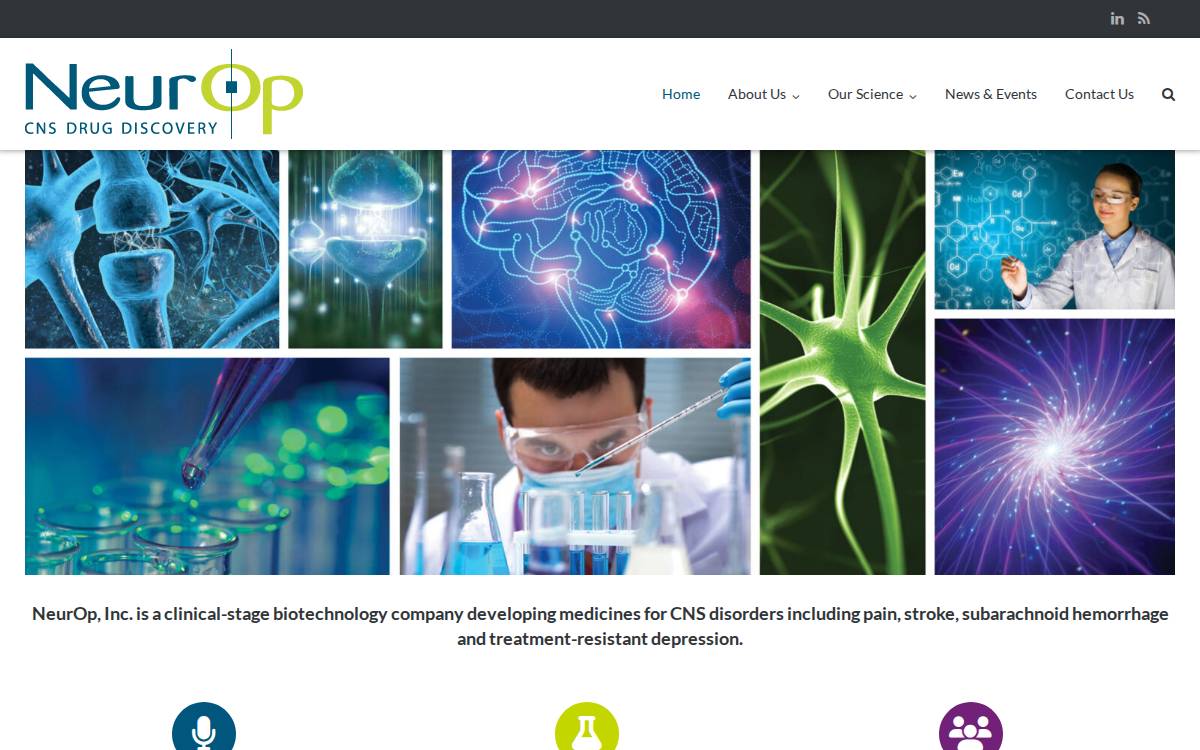 NeurOp website preview