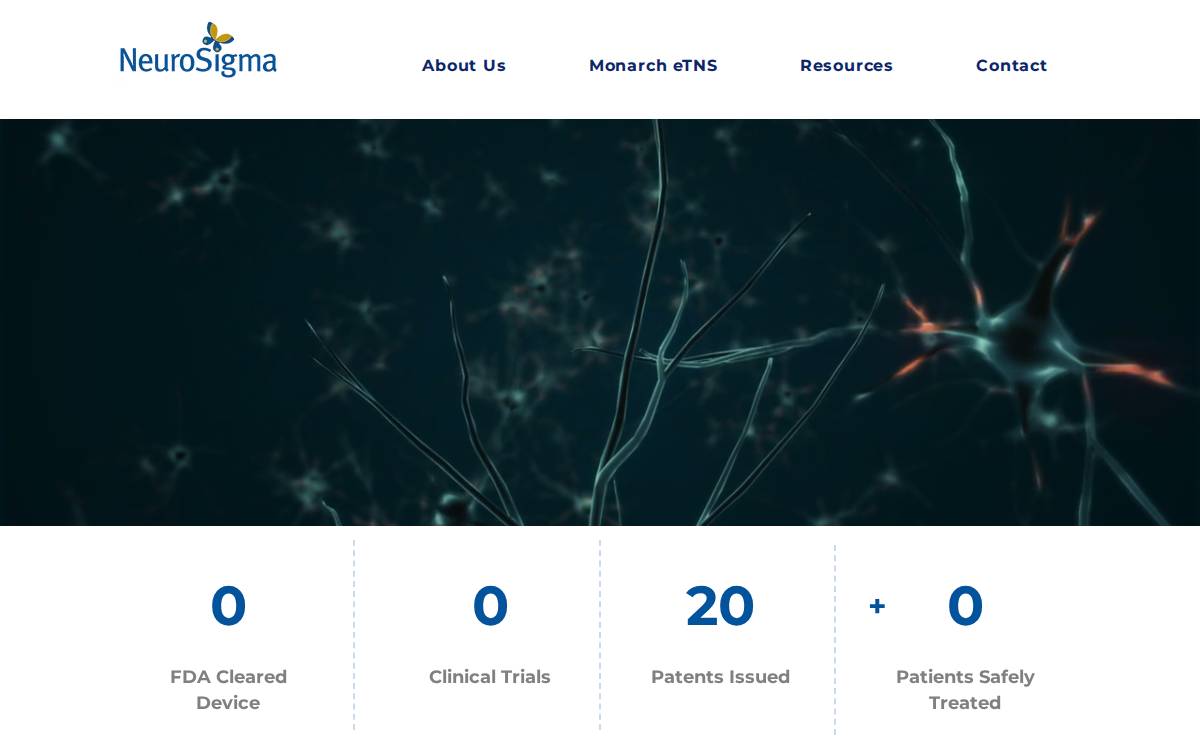 NeuroSigma website preview