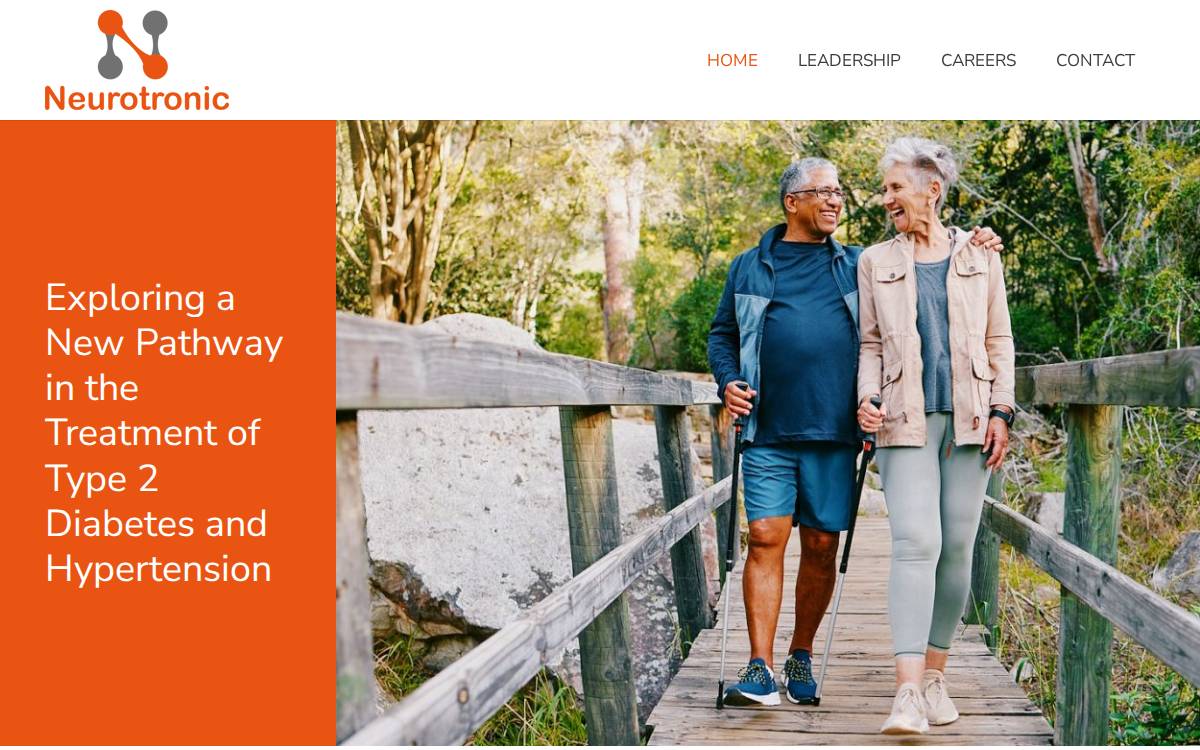 Neurotronic website preview