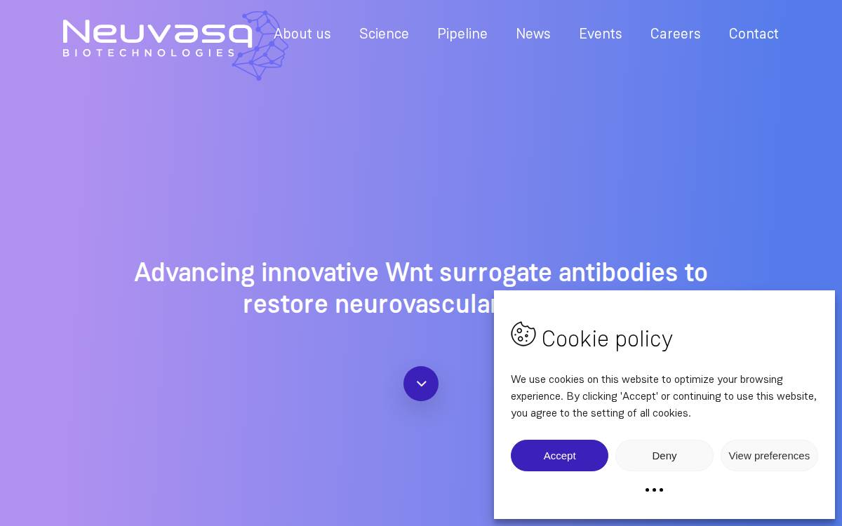 Neuvasq website preview
