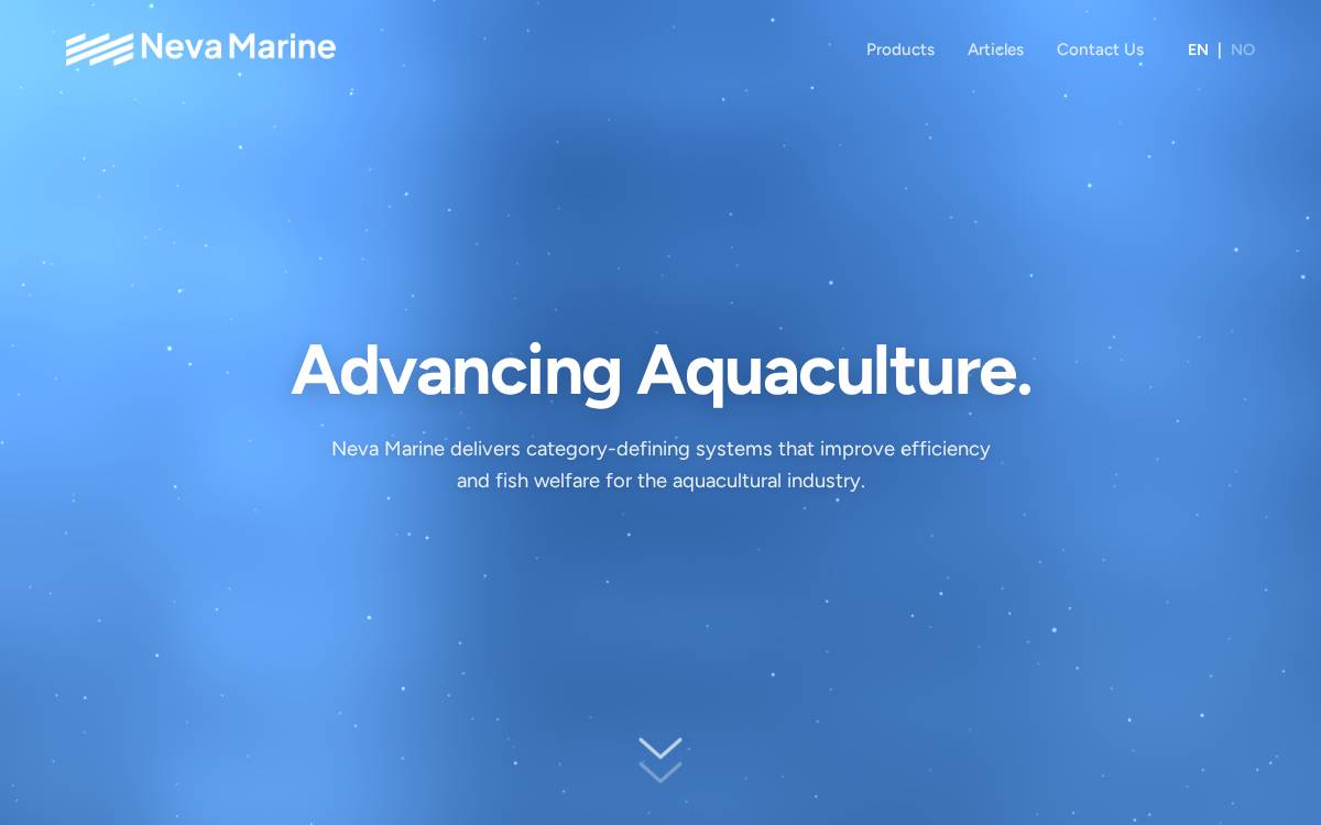 Neva Marine website preview
