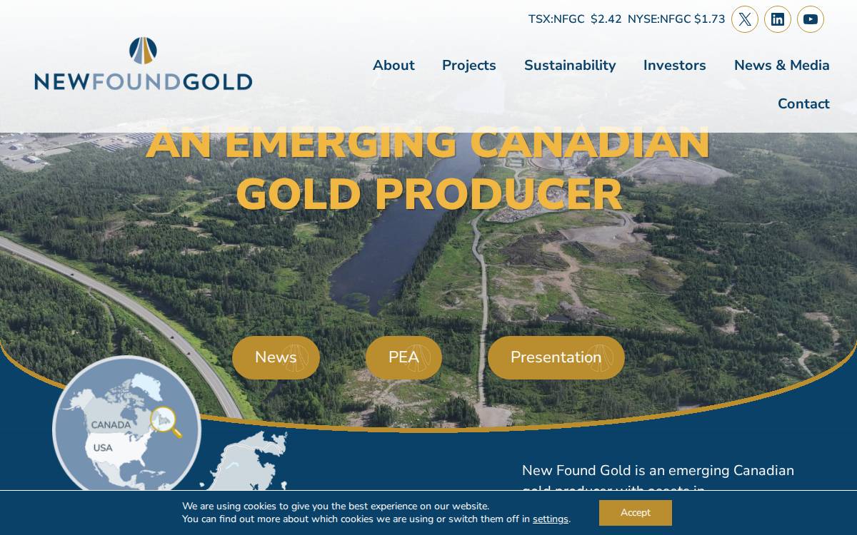 New Found Gold Corp. website preview