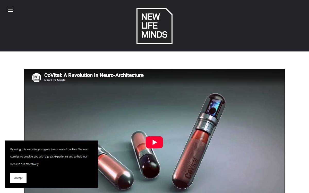 New Life Minds website preview