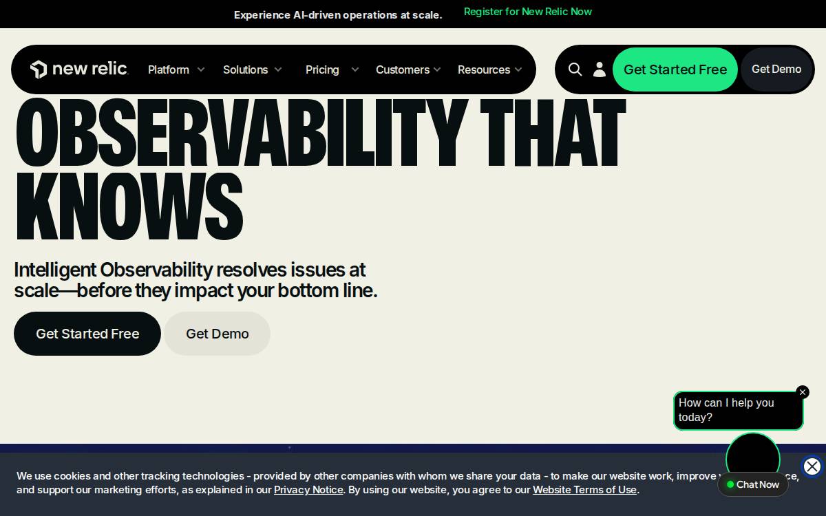 New Relic website preview
