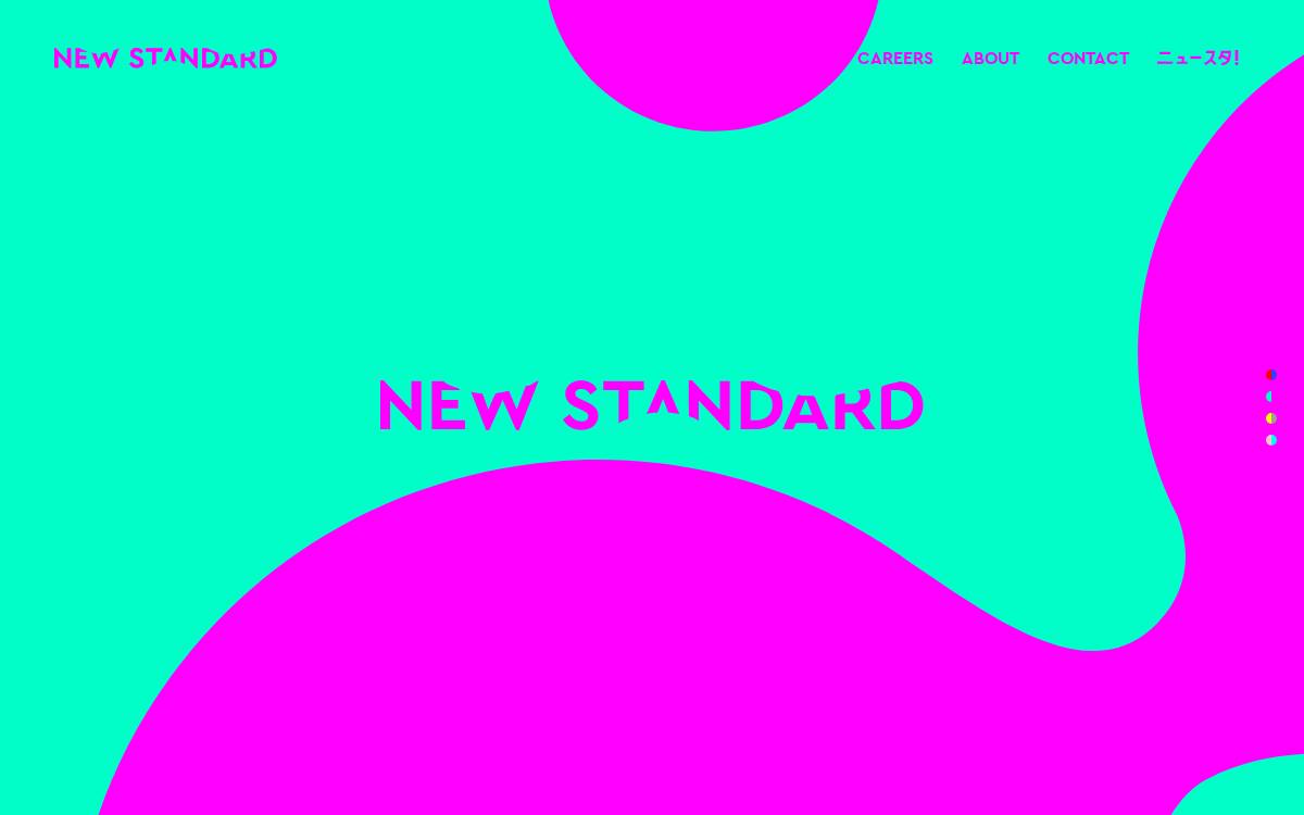 New Standard.Co website preview