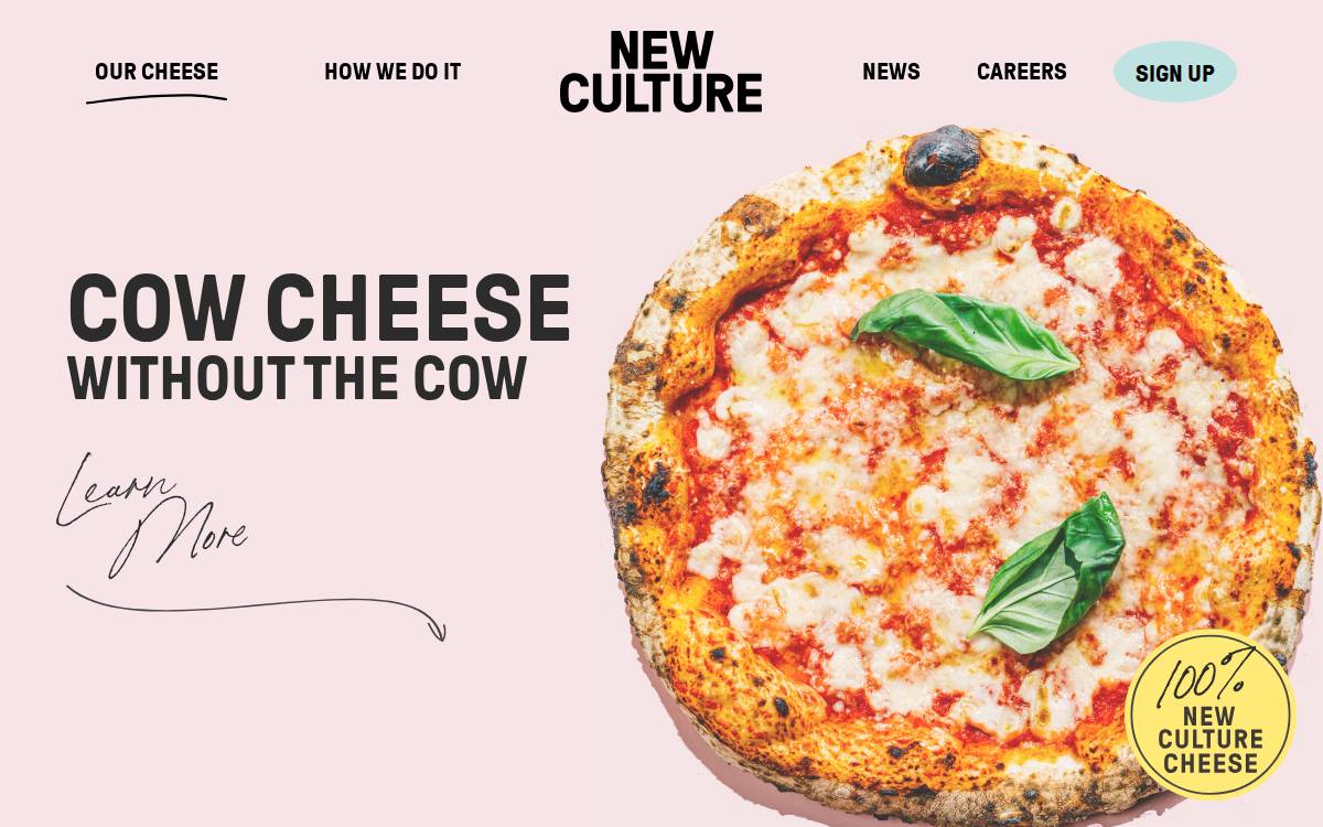New Culture website preview
