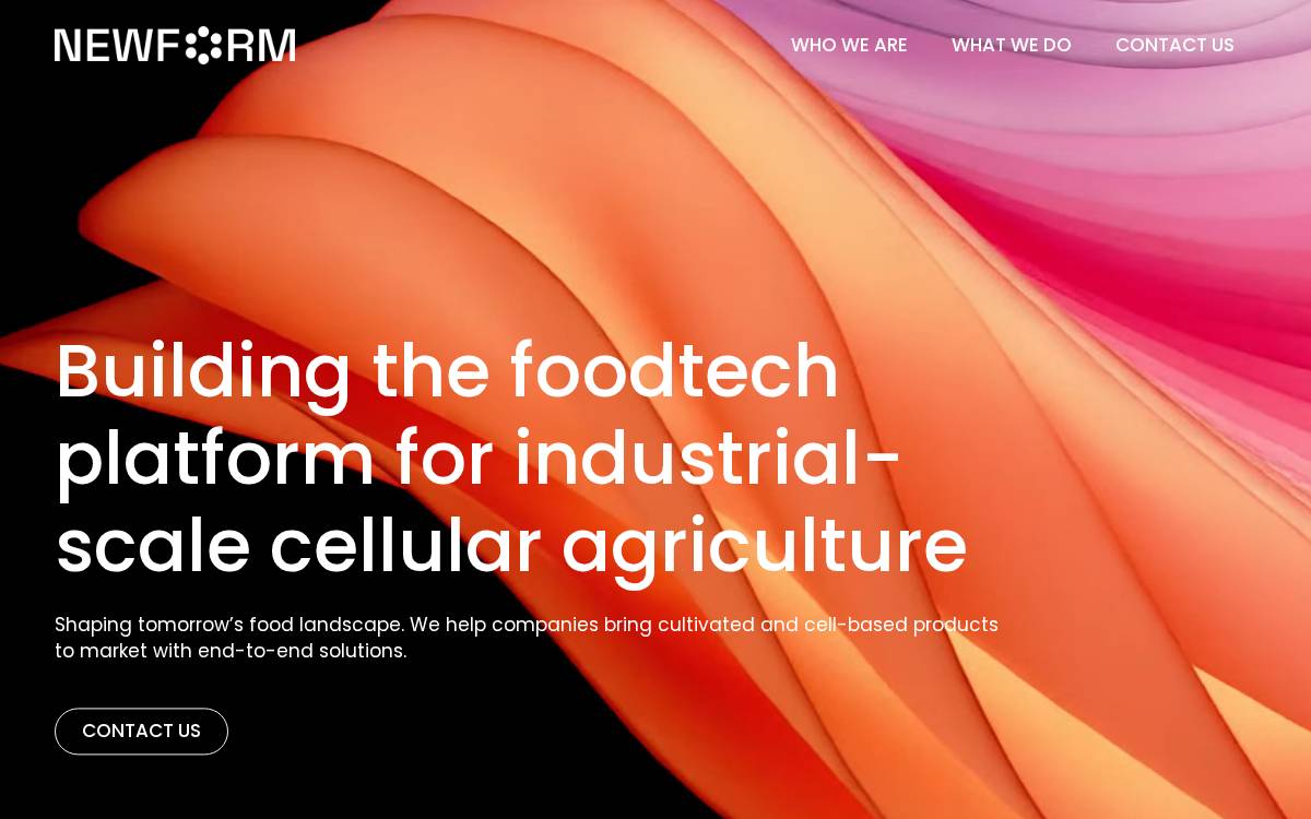 Newform Foods website preview