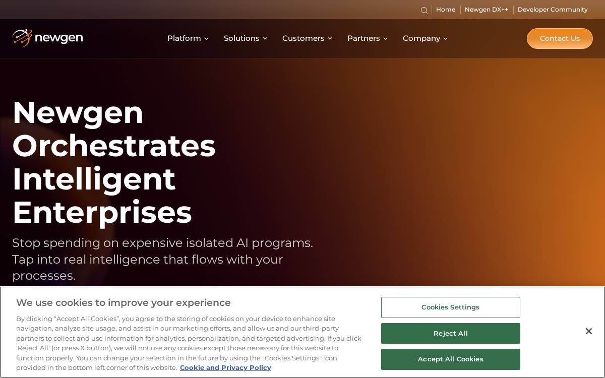 Newgensoft website preview