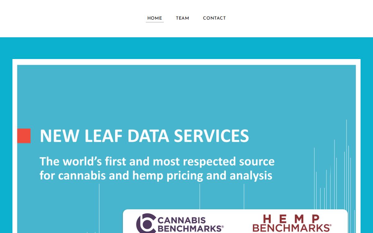 Newleafdataservices website preview