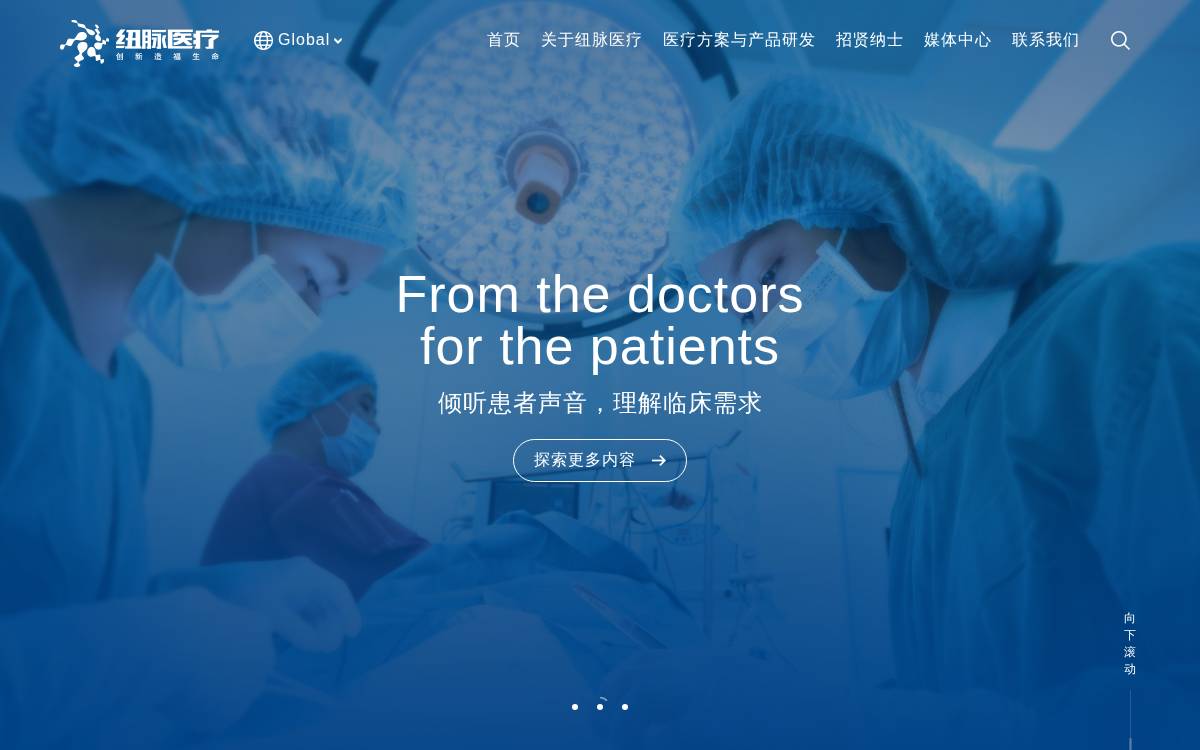 Newmed website preview