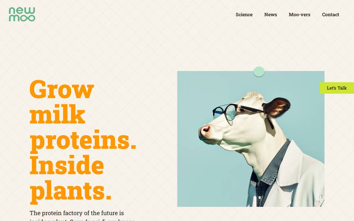 Newmoofoods website preview