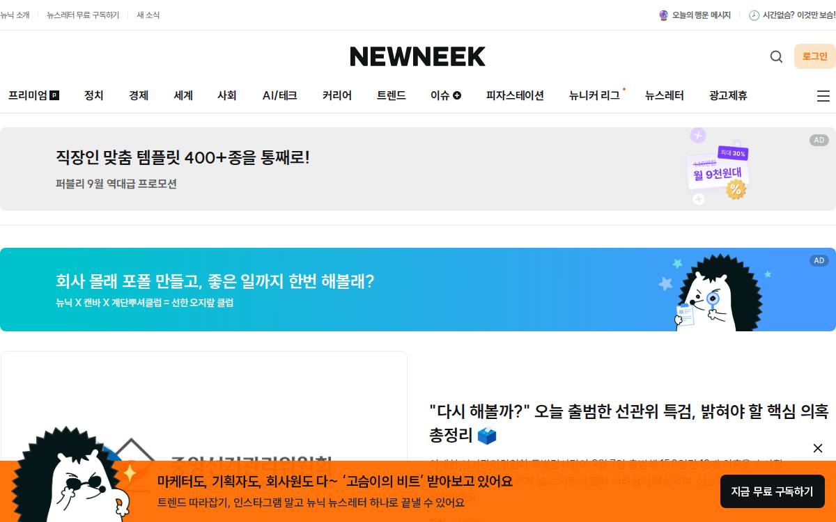 Newneek website preview