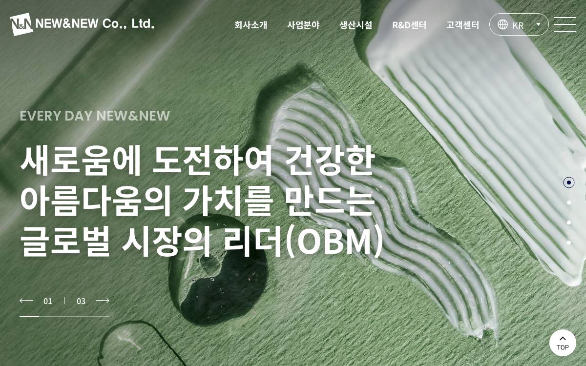 Newnnew website preview