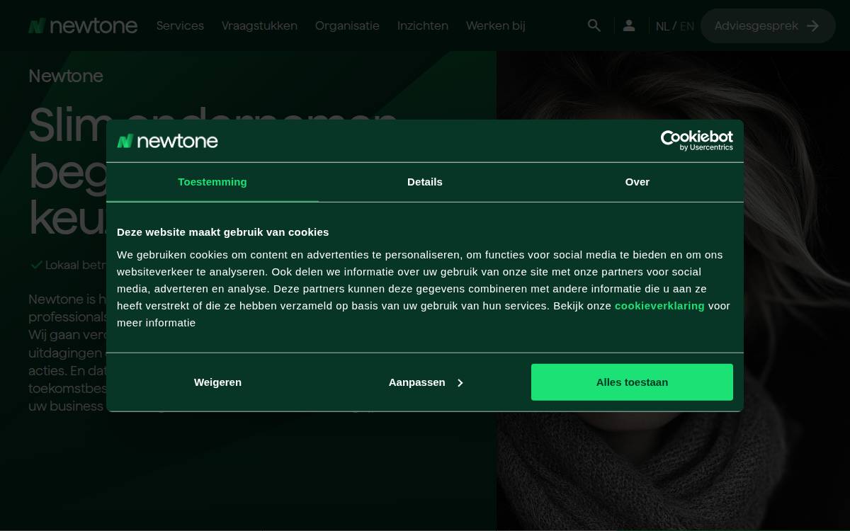 Newtone website preview