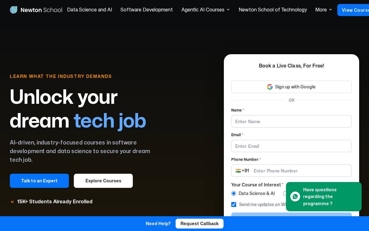 Newton School website preview