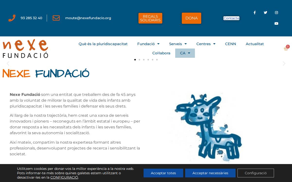 Nexe Fundació website preview